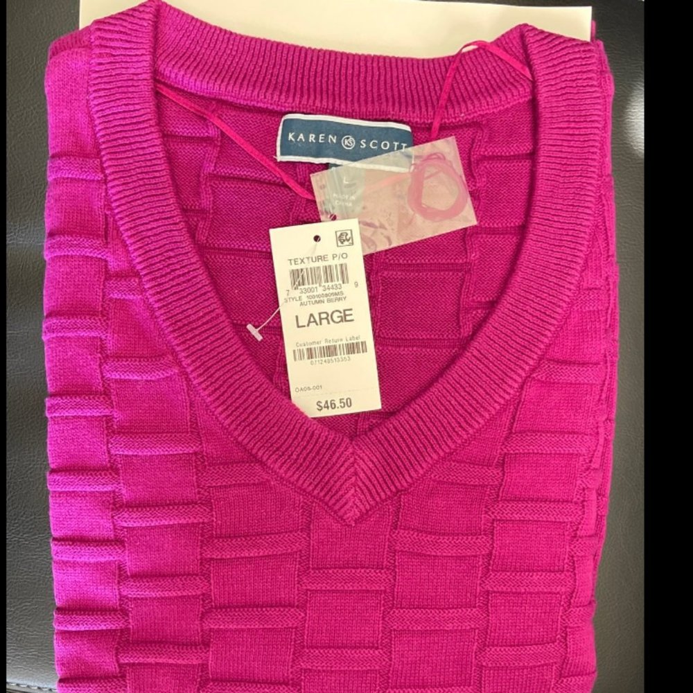 Karen Scott V Nexk Sweater